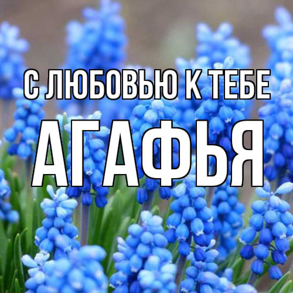 Открытка  с именем. Агафья, С любовью к тебе  