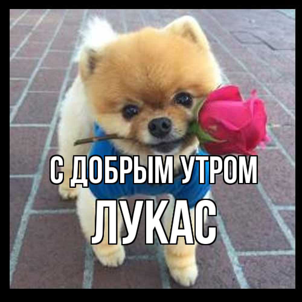 Открытка  с именем. Лукас, С добрым утром  
