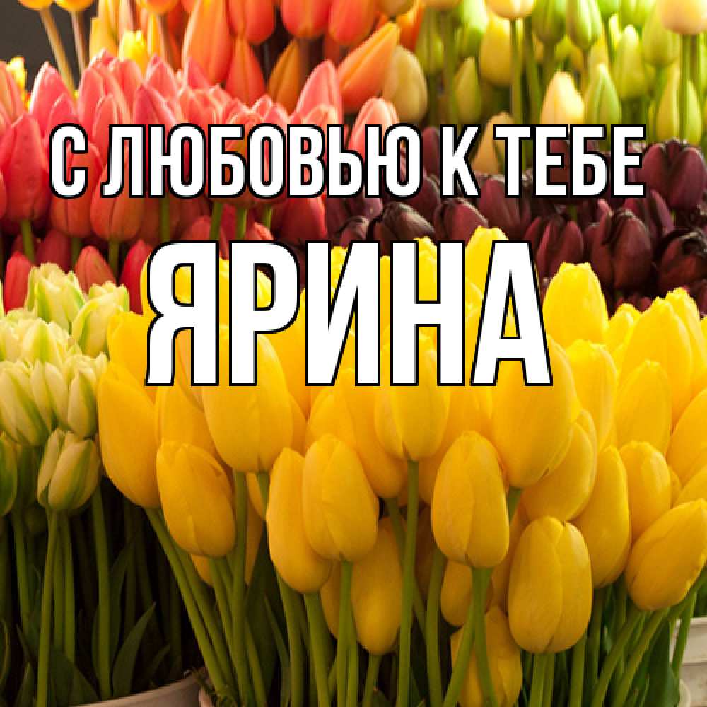 Открытка  с именем. Ярина, С любовью к тебе  