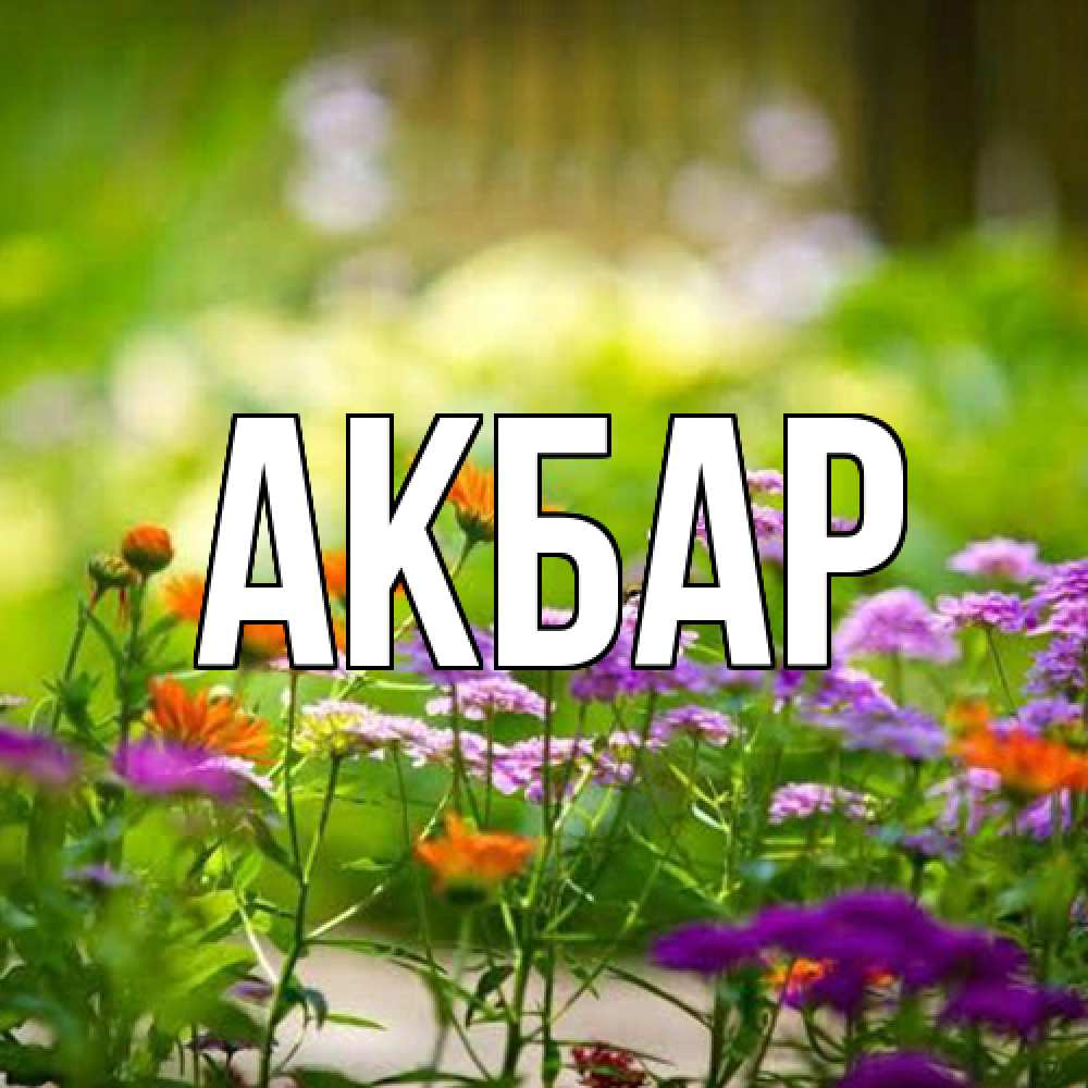 Открытка  с именем. Акбар, Главная  