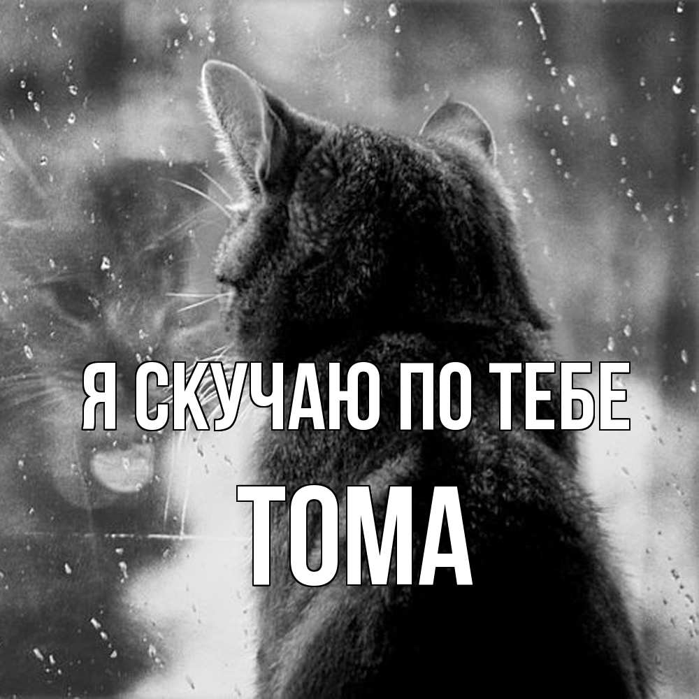 Открытка  с именем. Тома, Я скучаю по тебе  