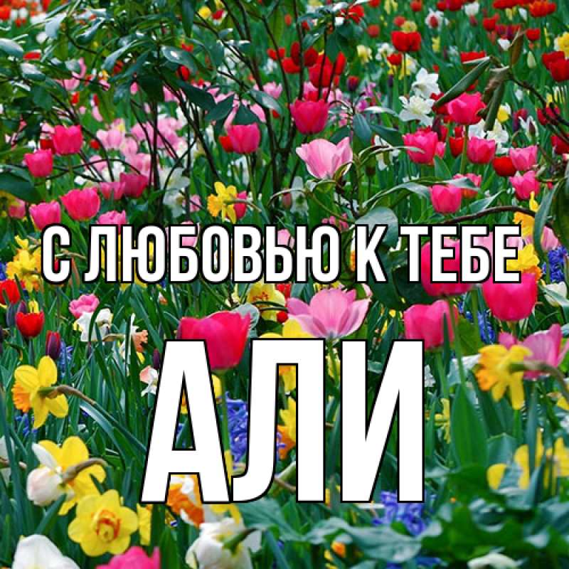 Картинка С любовью к тебе, Али