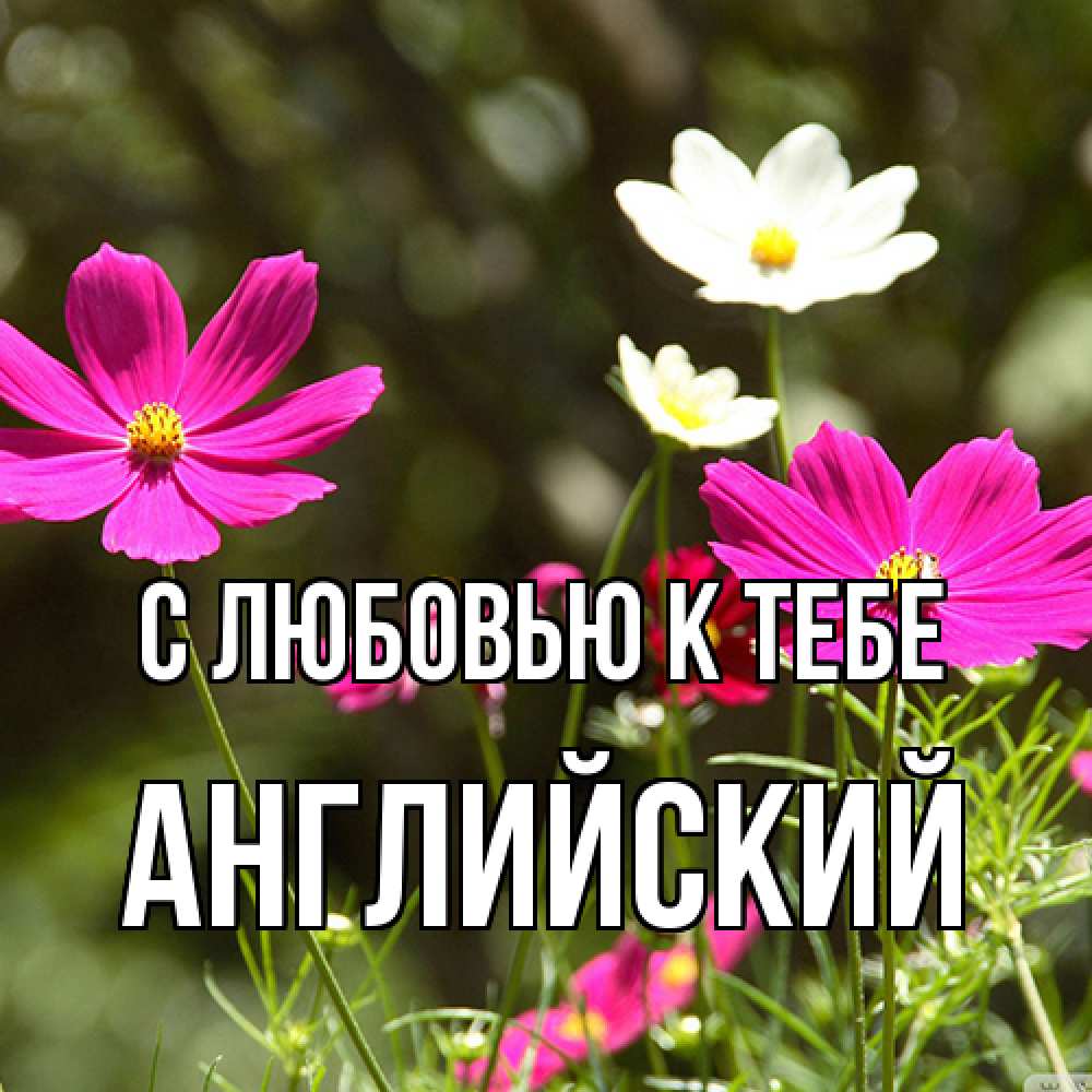 Открытка  с именем. Английский, С любовью к тебе  
