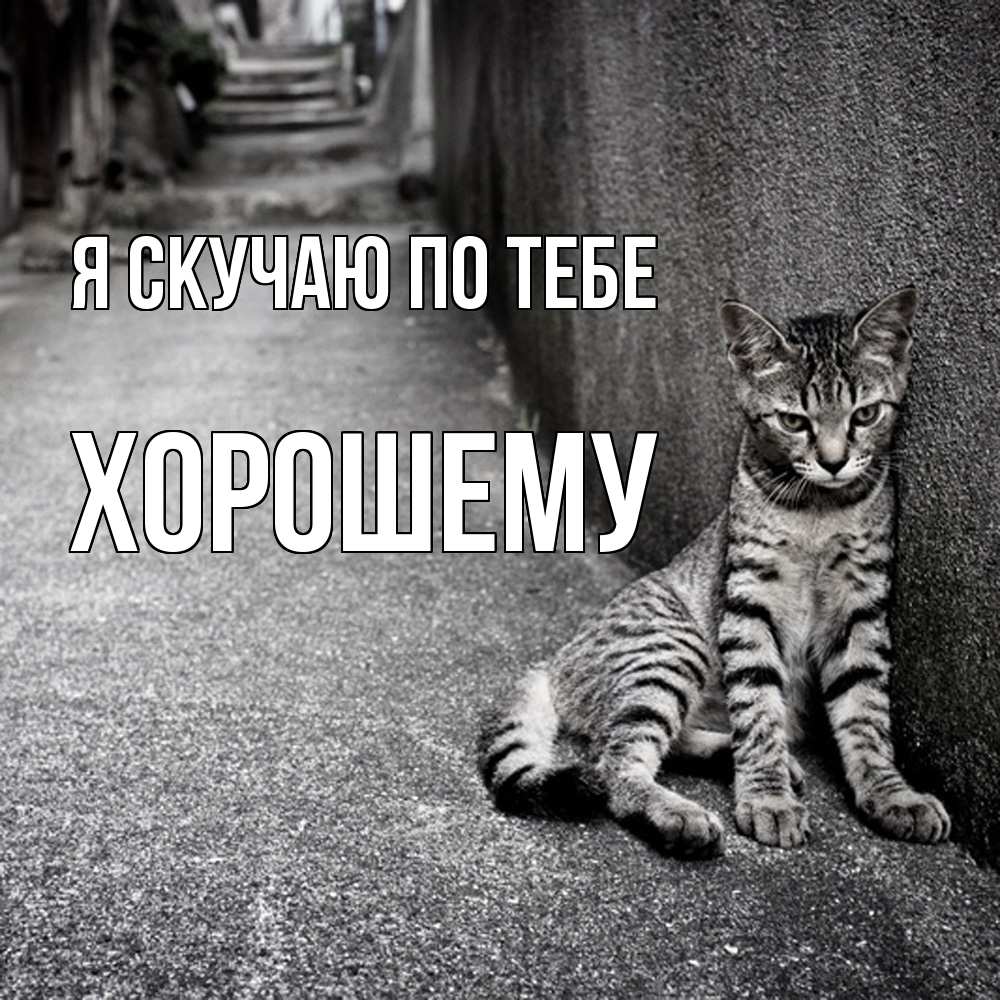 Открытка  с именем. Хорошему, Я скучаю по тебе  