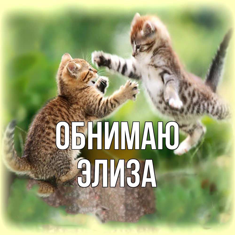 Открытка  с именем. Элиза, Обнимаю  