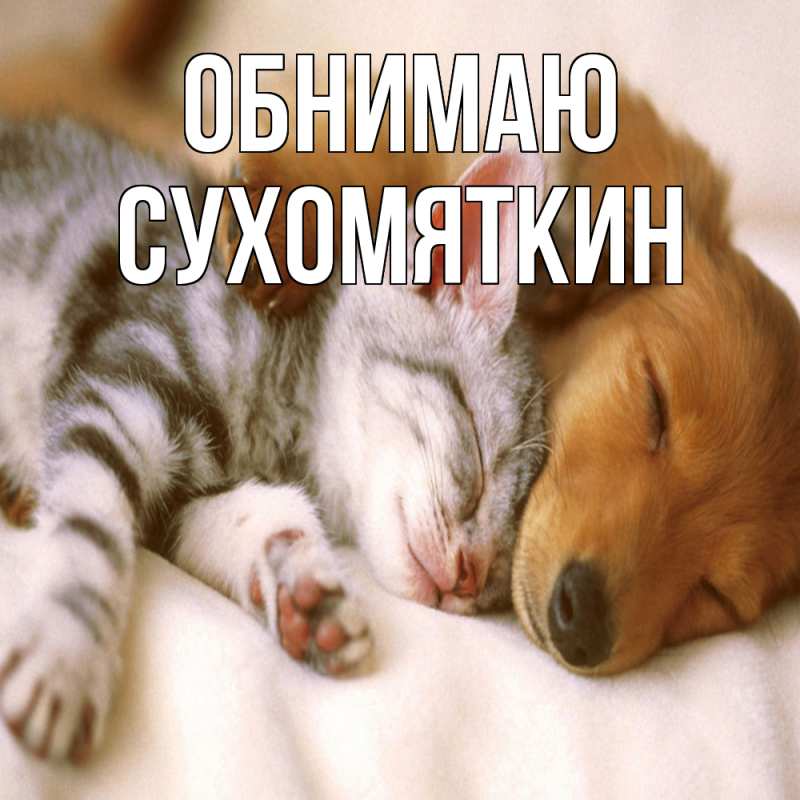 Картинка Обнимаю, Сухомяткин