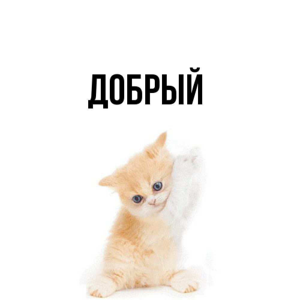 Открытка  с именем. Добрый, Главная  
