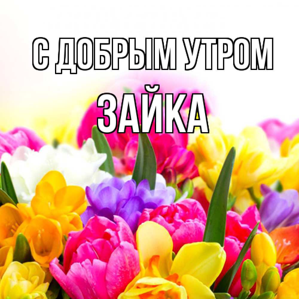 Открытка  с именем. Зайка, С добрым утром  