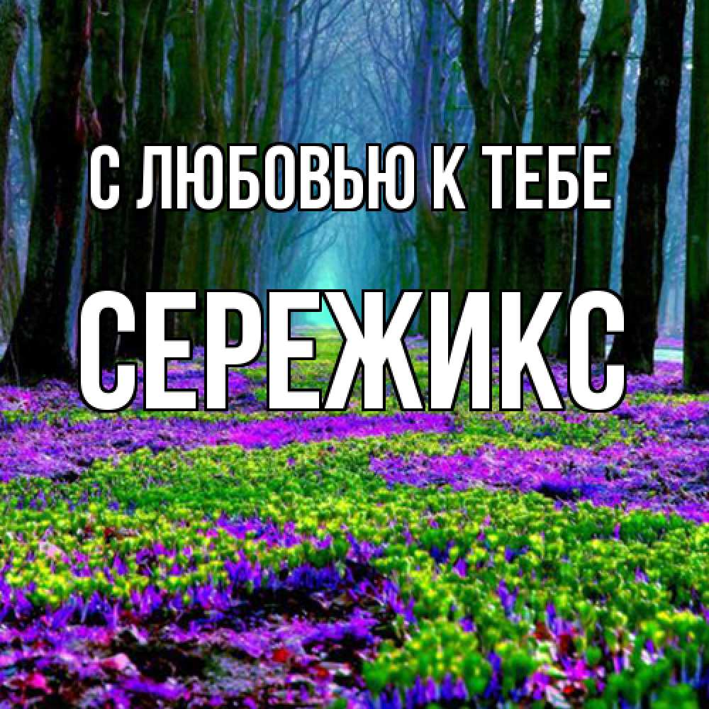 Открытка  с именем. Сережикс, С любовью к тебе  