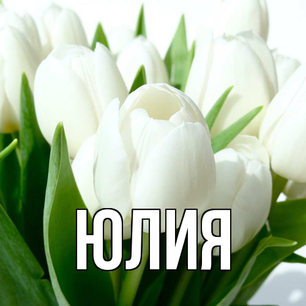 Открытка  с именем. Юлия, Главная  