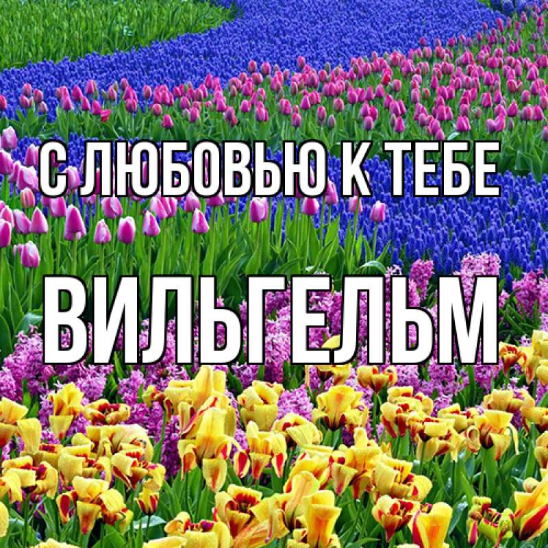 Картинка С любовью к тебе, Вильгельм