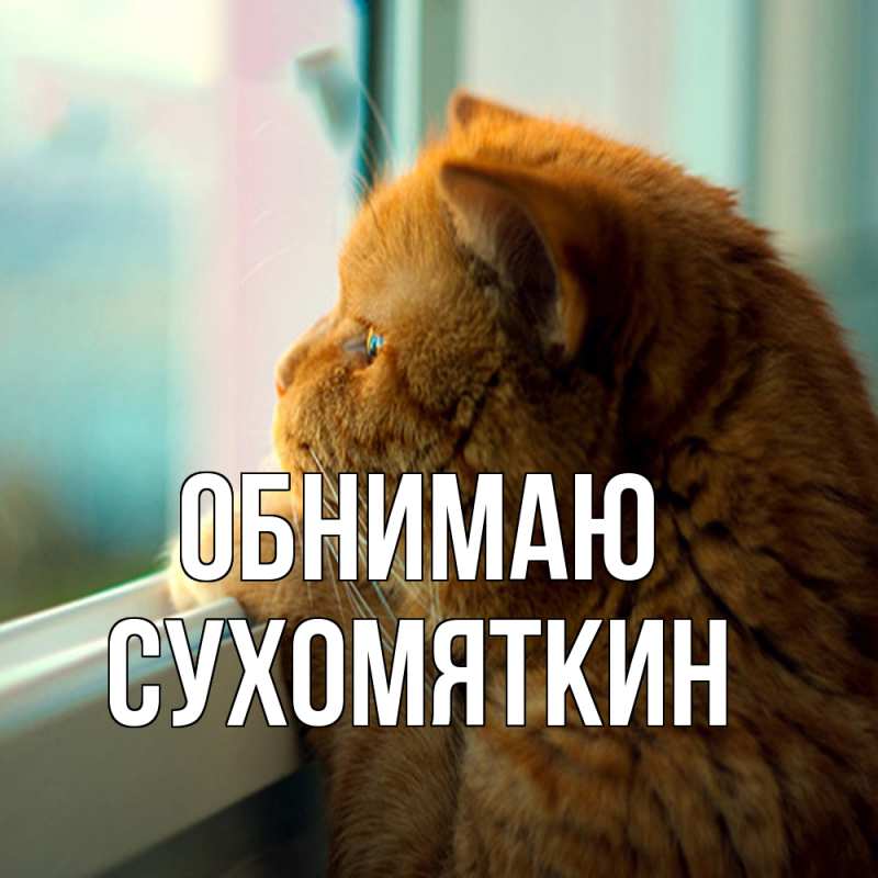 Картинка Обнимаю, Сухомяткин