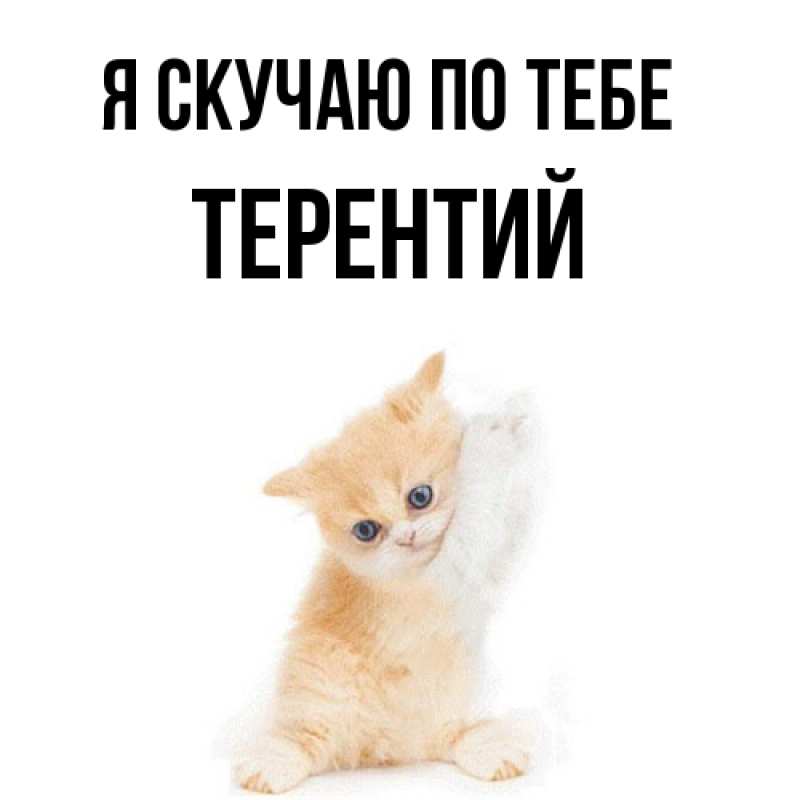 Картинка Я скучаю по тебе, Терентий