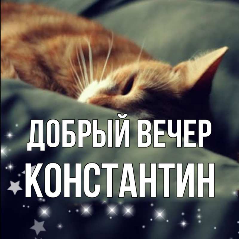 Картинка Добрый вечер, Константин