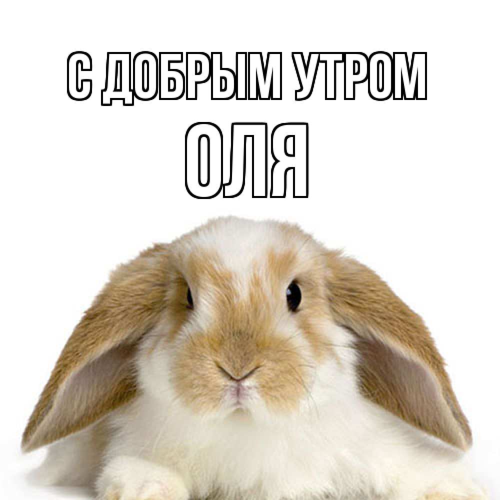 Открытка  с именем. оля, С добрым утром  