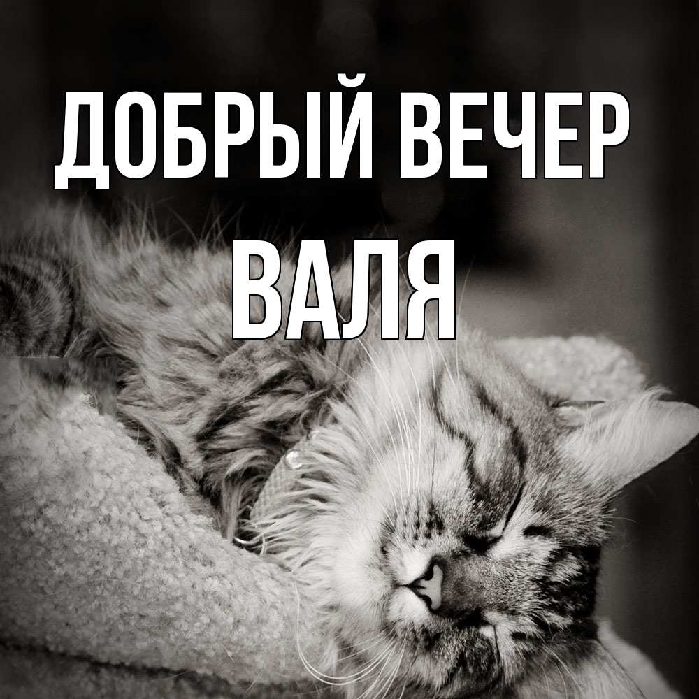 Открытка  с именем. Валя, Добрый вечер  