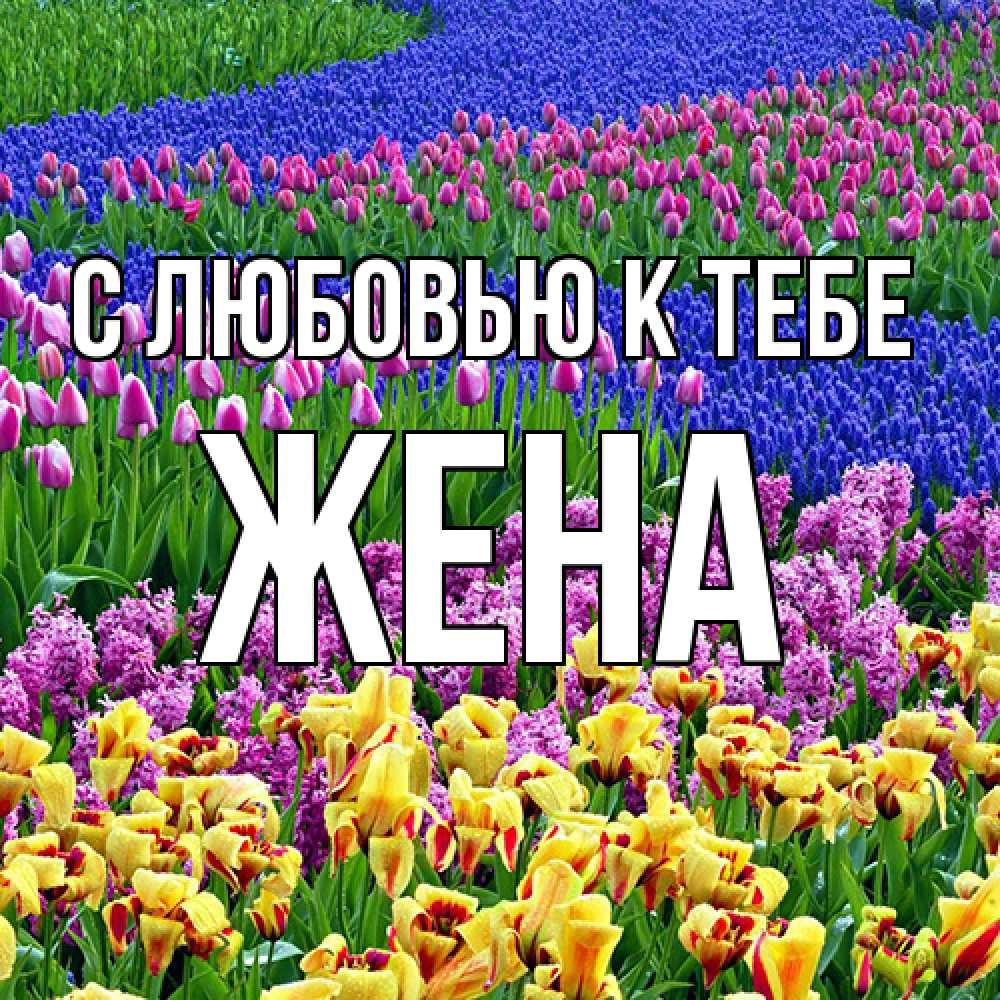 Открытка  с именем. Жена, С любовью к тебе  