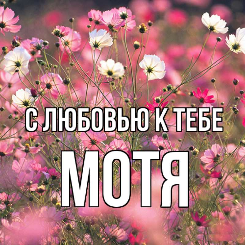 Картинка С любовью к тебе, Мотя