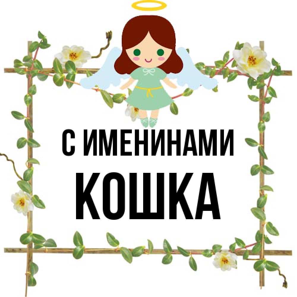 Открытка  с именем. Кошка, С именинами  