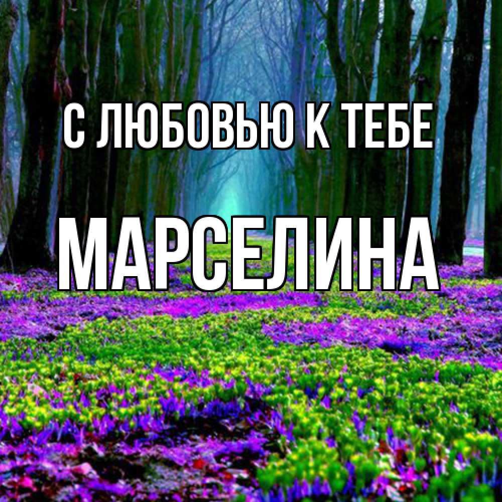 Открытка  с именем. Марселина, С любовью к тебе  