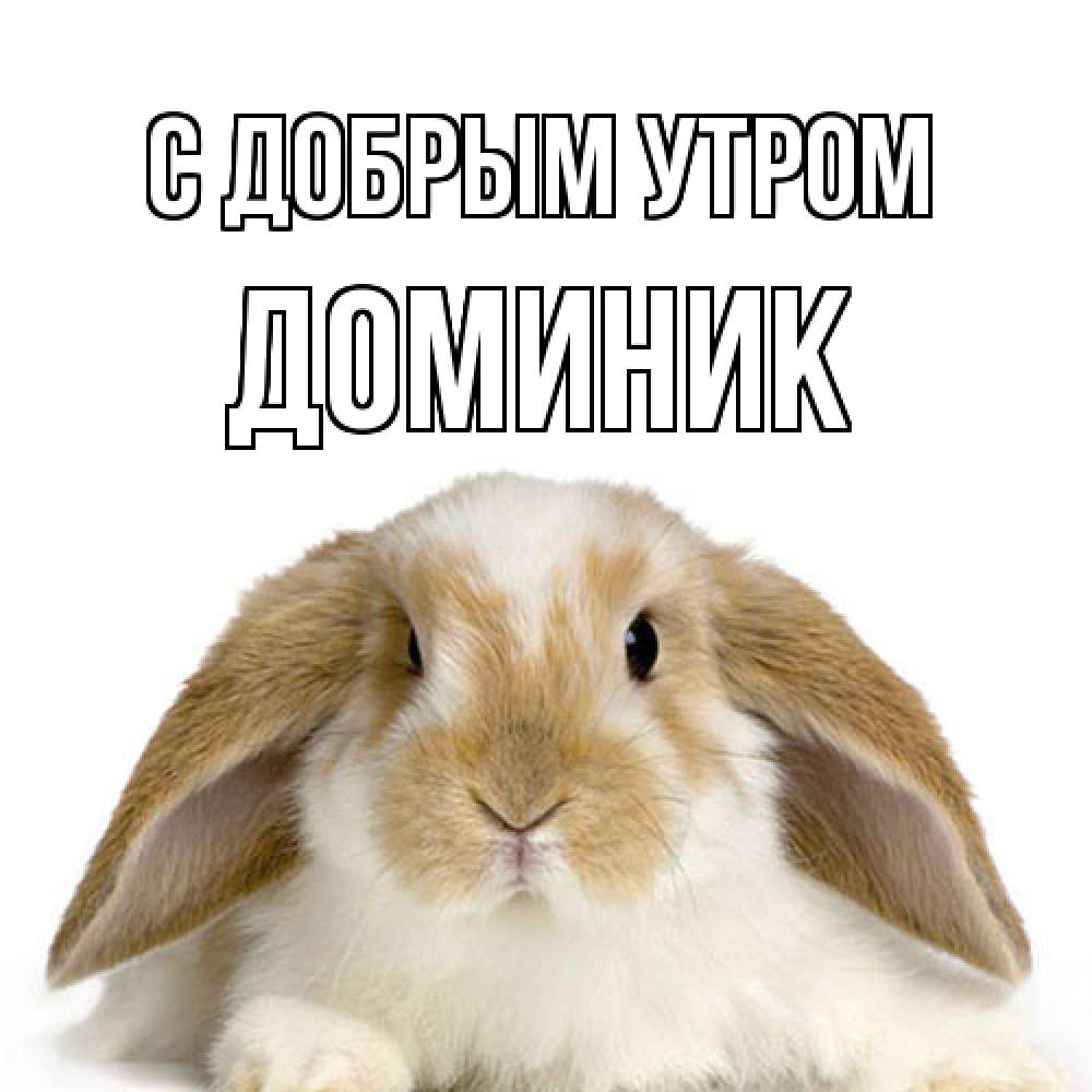 Открытка  с именем. Доминик, С добрым утром  