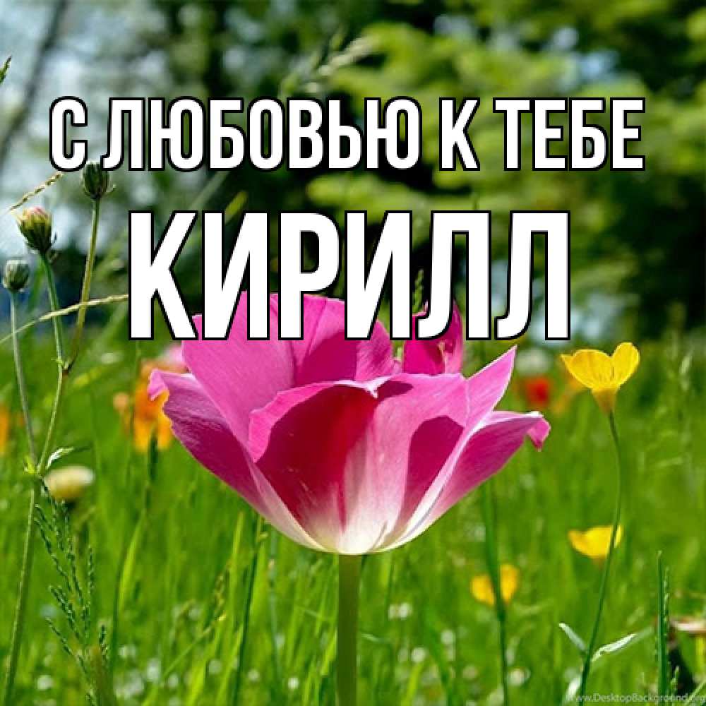 Открытка  с именем. Кирилл, С любовью к тебе  