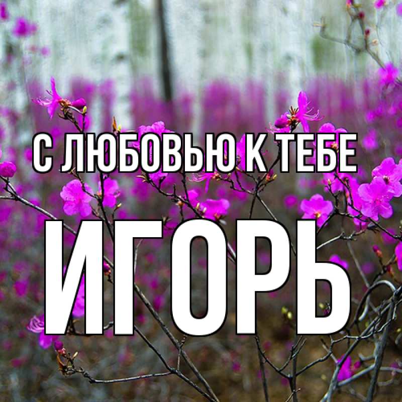 Картинка С любовью к тебе, Игорь