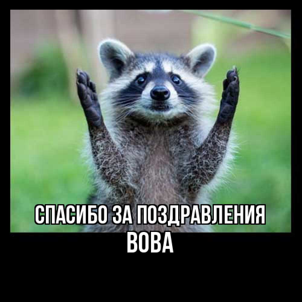 Открытка  с именем. Вова, Спасибо за поздравления  