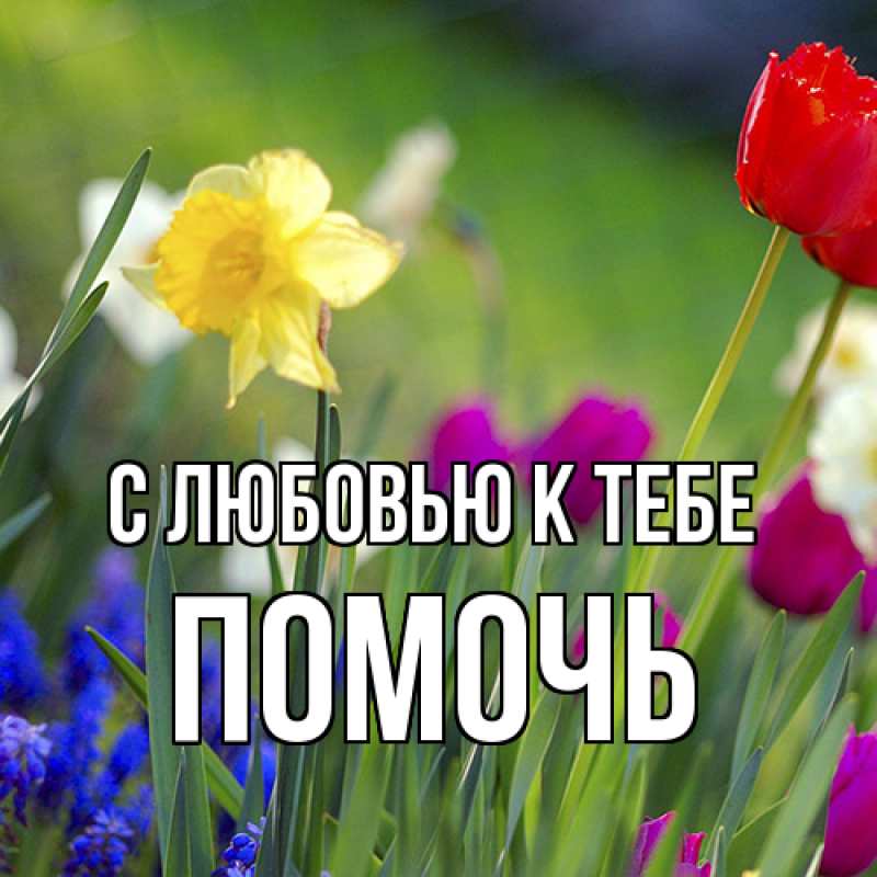 Картинка С любовью к тебе, Помочь
