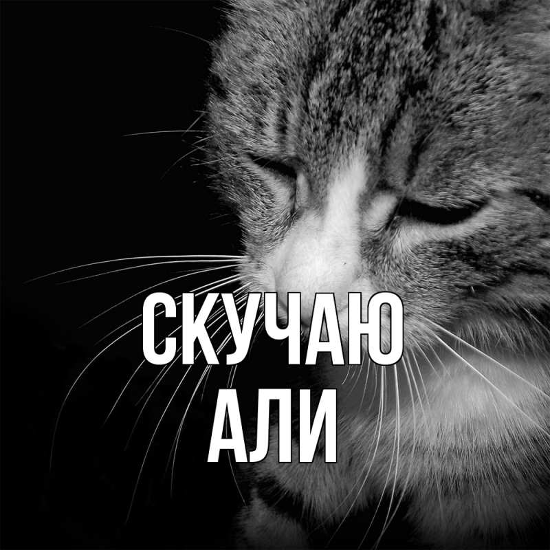 Картинка Скучаю, Али