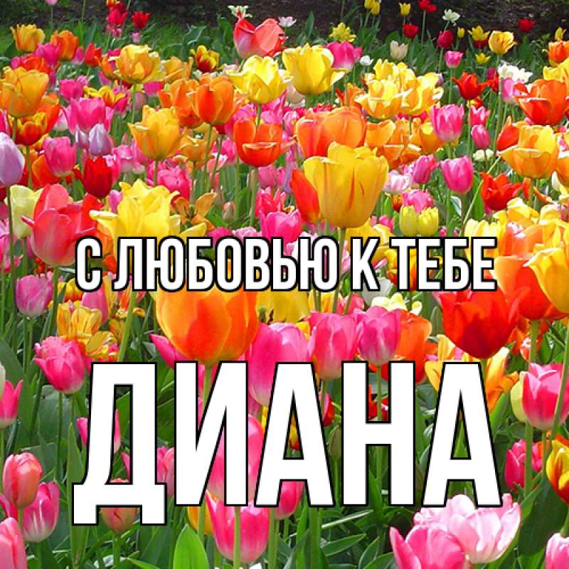 Открытка с именем, Диана, С любовью к тебе