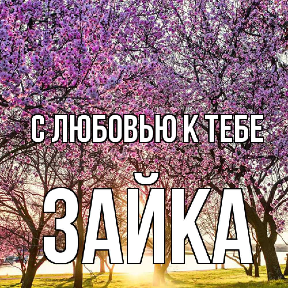 Открытка  с именем. Зайка, С любовью к тебе  