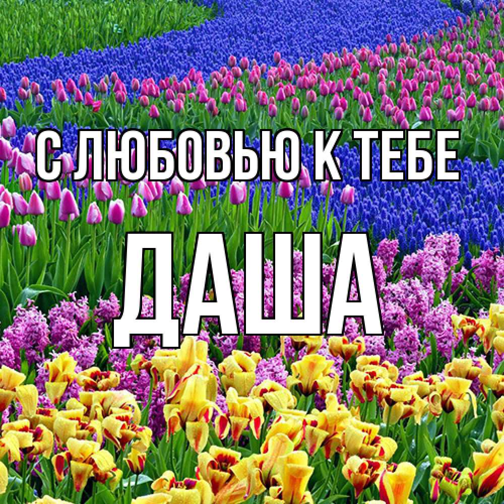 Открытка  с именем. даша, С любовью к тебе  