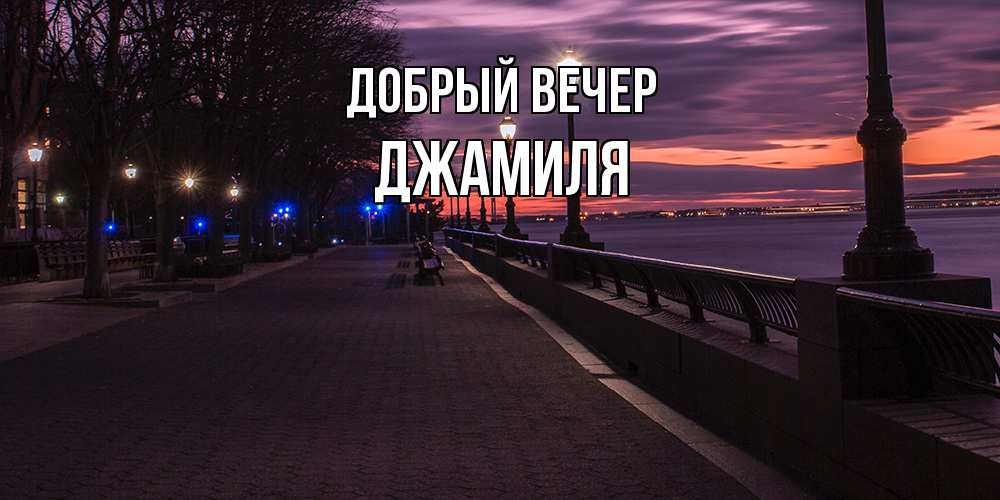 Открытка  с именем. Джамиля, Добрый вечер  