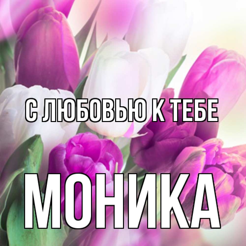 Открытка  с именем. Моника, С любовью к тебе  