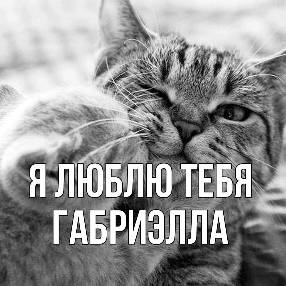 Открытка  с именем. Габриэлла, Я люблю тебя  