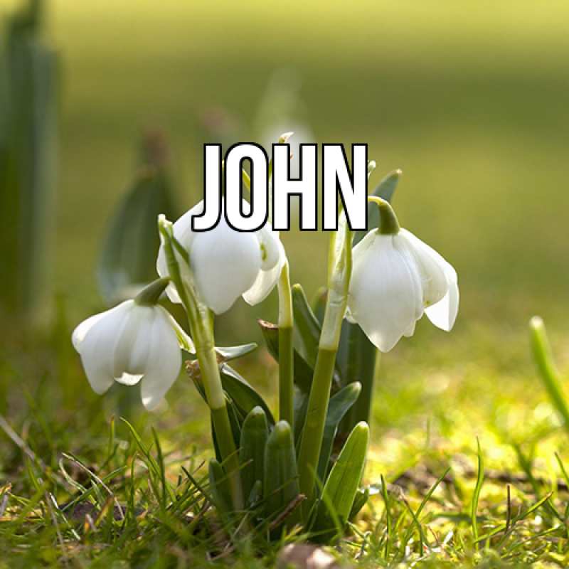 Картинка  с именем , John