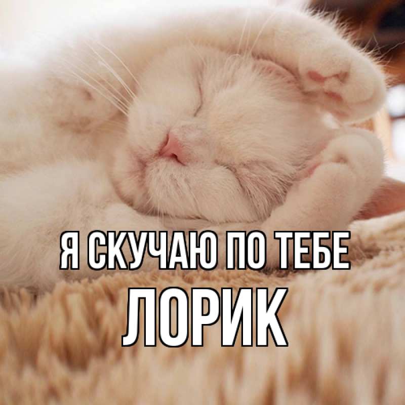 Картинка Я скучаю по тебе, Лорик