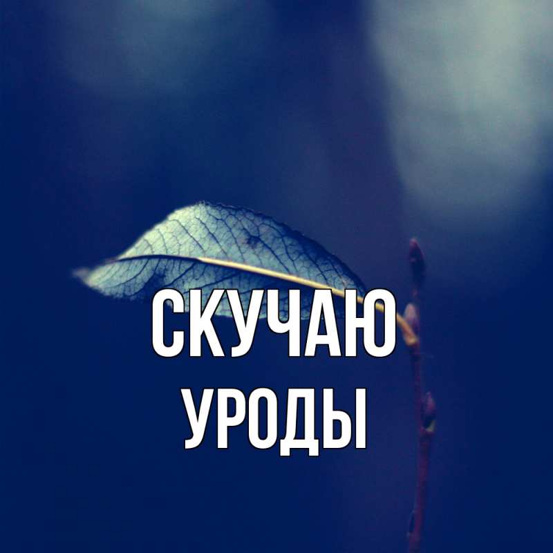 Картинка Скучаю, уроды