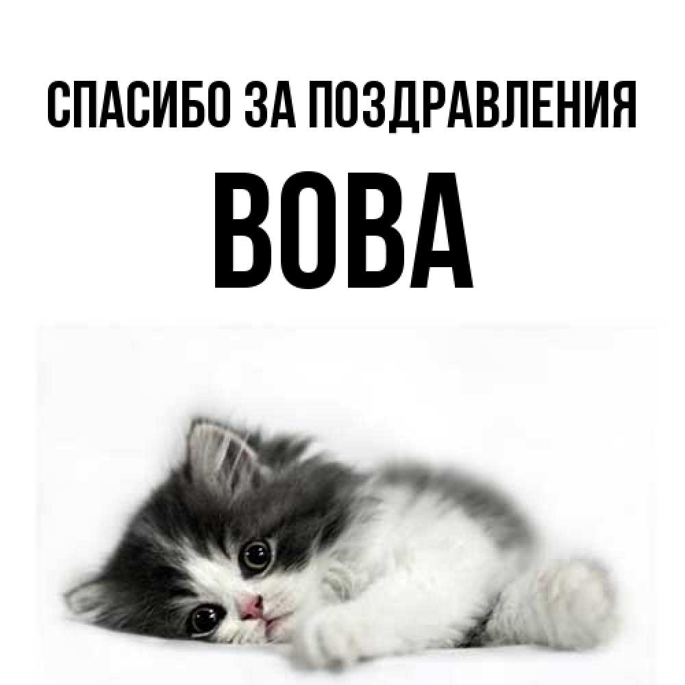 Открытка  с именем. Вова, Спасибо за поздравления  