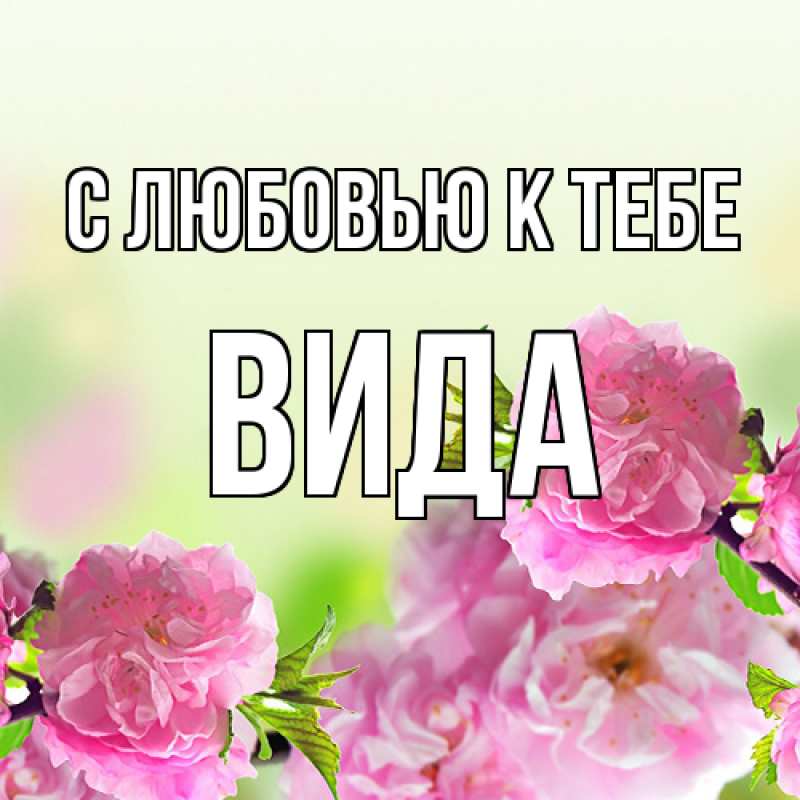 Картинка С любовью к тебе, Вида