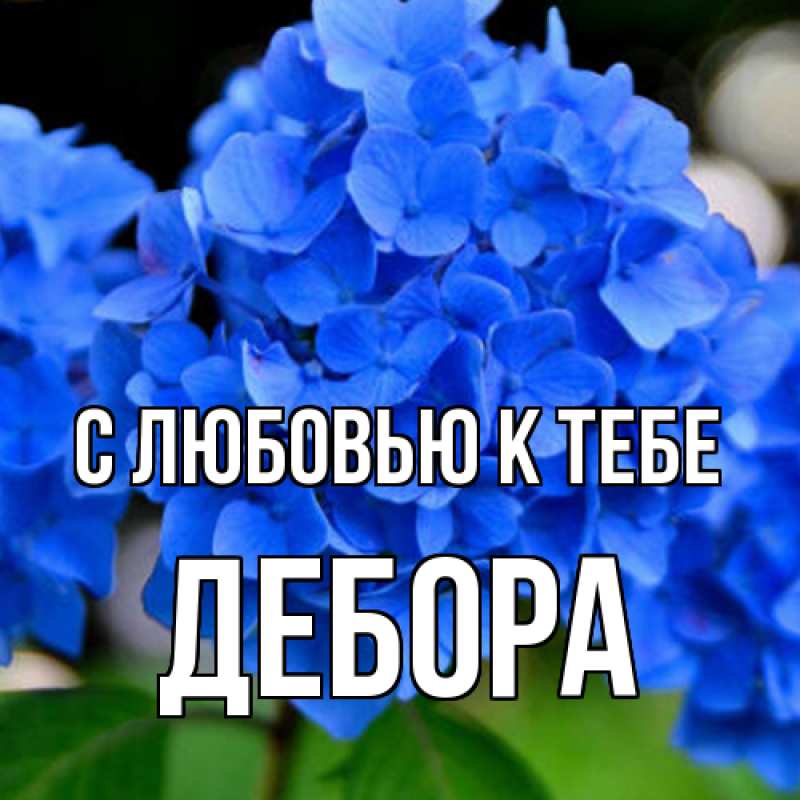Картинка С любовью к тебе, Дебора