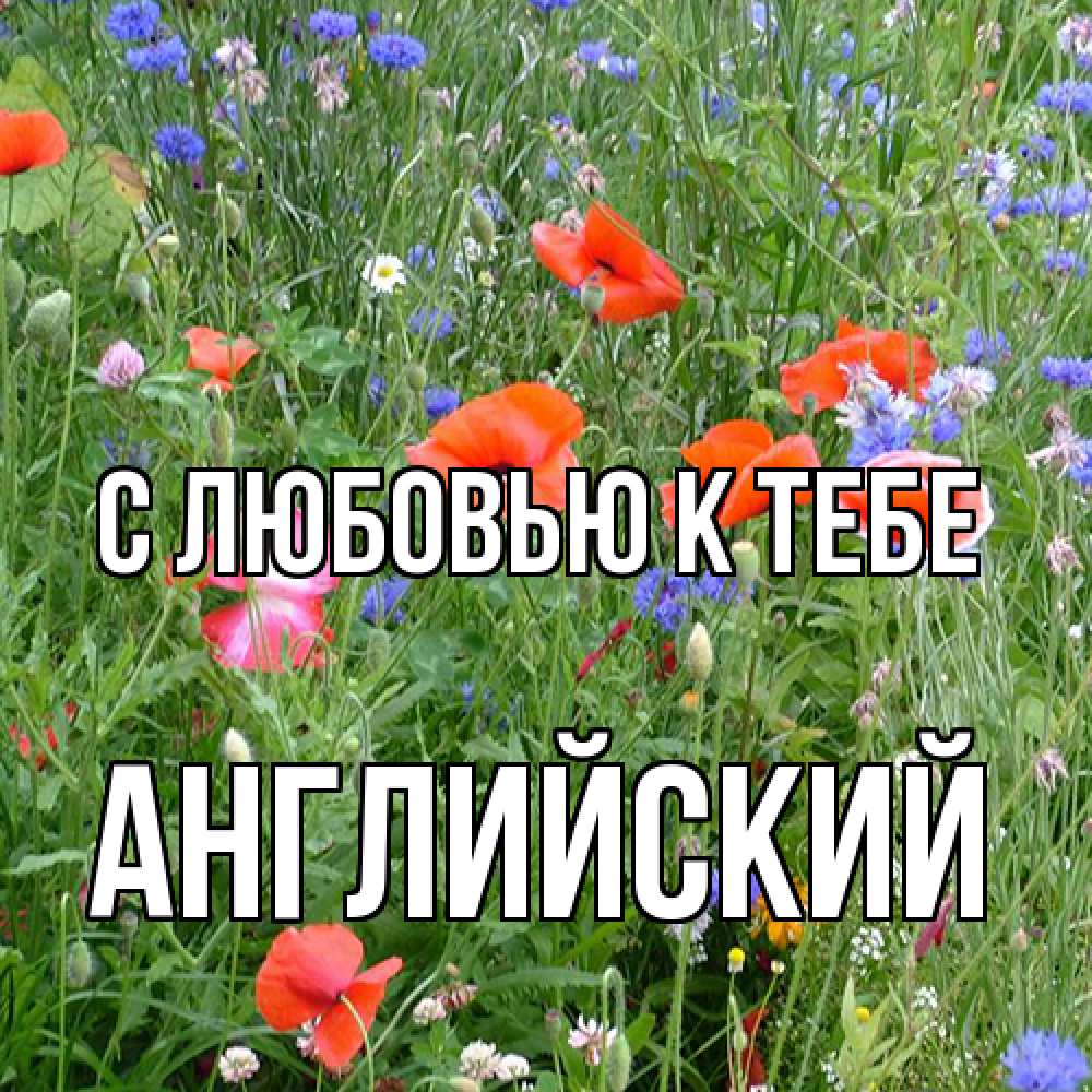 Открытка  с именем. Английский, С любовью к тебе  