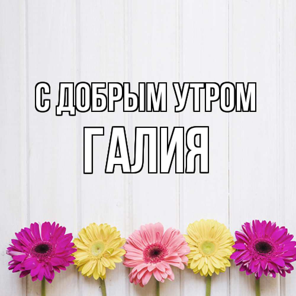 Открытка  с именем. Галия, С добрым утром  
