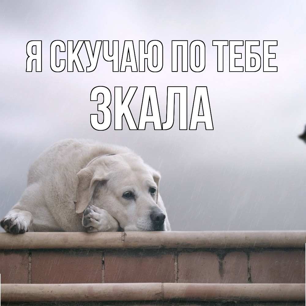Открытка  с именем. ЗКАЛА, Я скучаю по тебе  