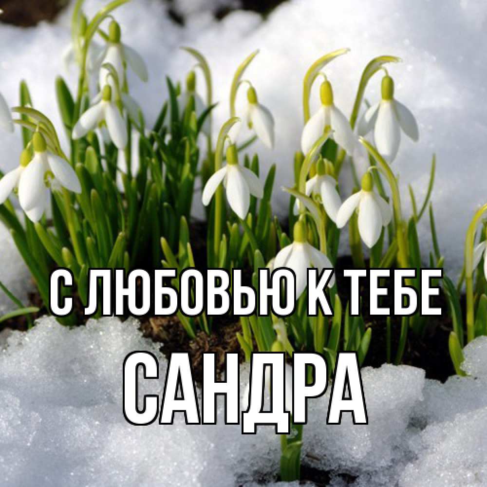 Открытка  с именем. Сандра, С любовью к тебе  