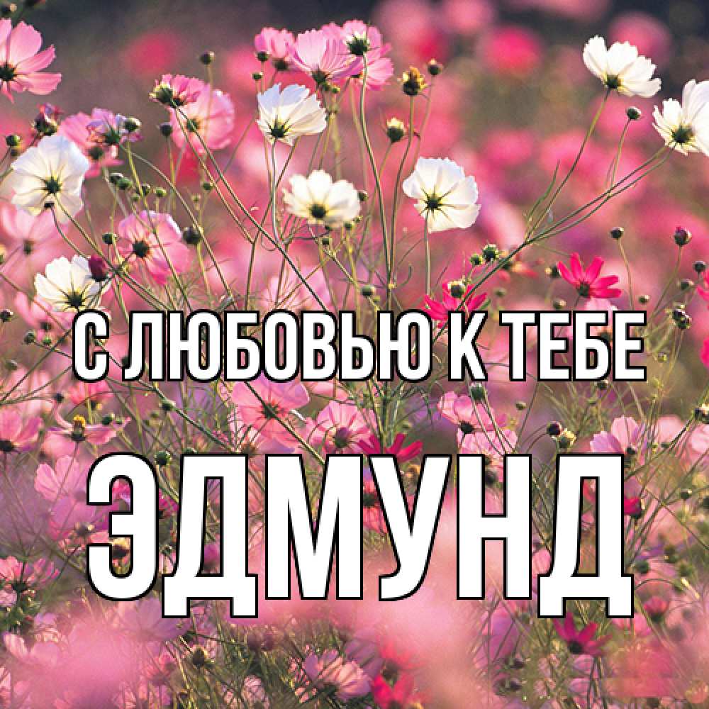 Открытка  с именем. Эдмунд, С любовью к тебе  