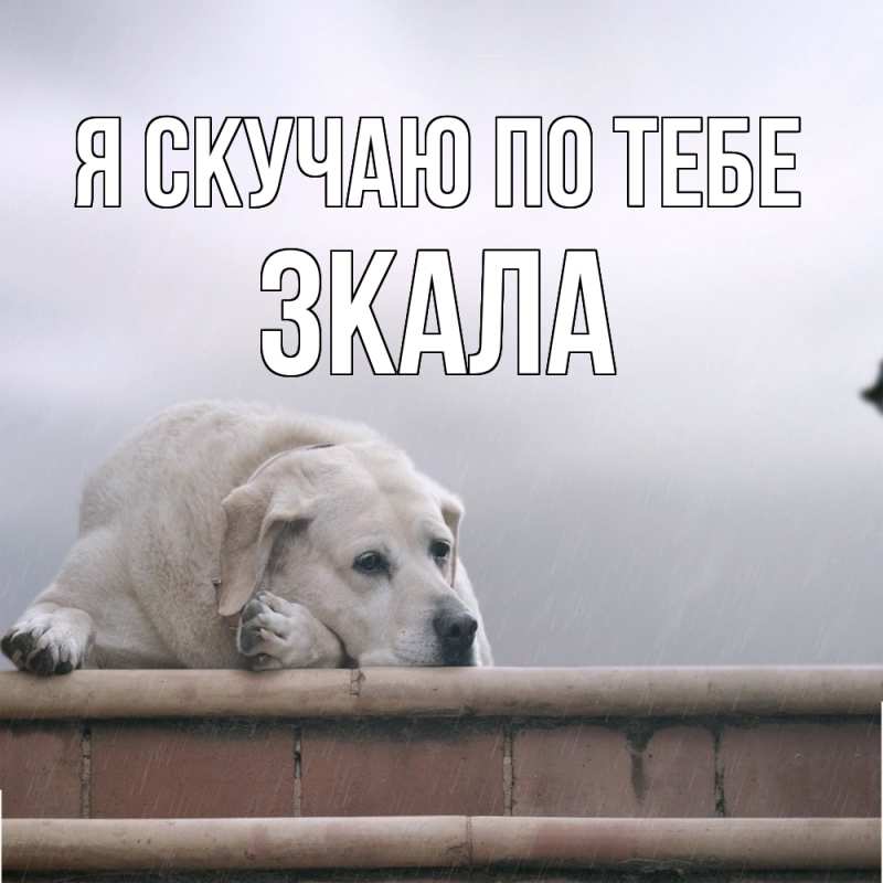 Картинка Я скучаю по тебе, ЗКАЛА