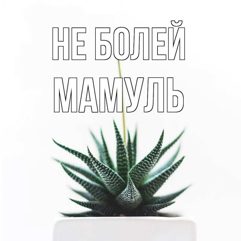 Картинка Не болей, Мамуль