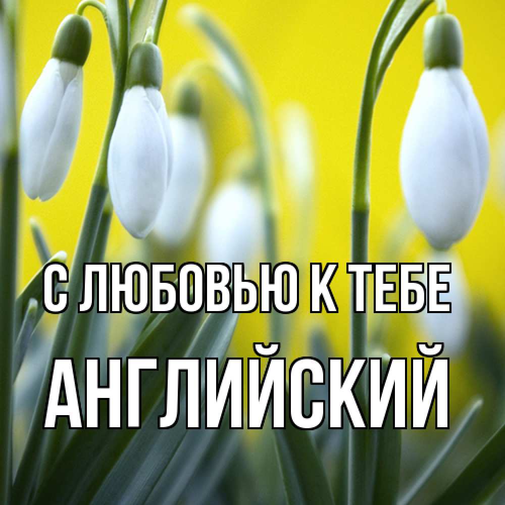 Открытка  с именем. Английский, С любовью к тебе  